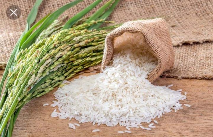 Казахстан собрал более 480 тыс. тонн риса