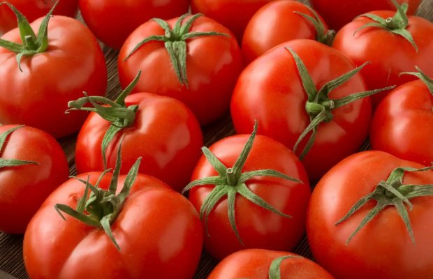 Ötən ay qeyri-neft sektoruna aid malların siyahısında ən çox pomidor ixrac edilib